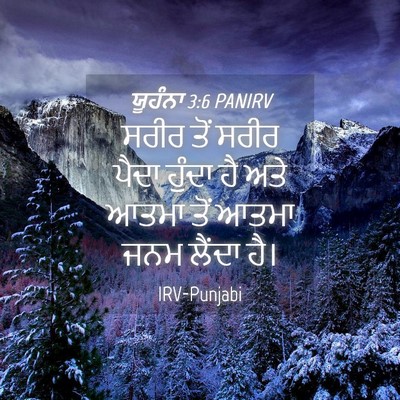 Picture 04 - ਯੂਹੰਨਾ 3:6 PANIRV - ਸਰੀਰ ਤੋਂ ਸਰੀਰ ਪੈਦਾ - Bible Verse Picture