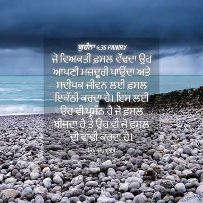 Picture 04 - ਯੂਹੰਨਾ 4:36 PANIRV - ਜੋ ਵਿਅਕਤੀ ਫ਼ਸਲ - Bible Verse Picture
