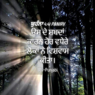 Picture 04 - ਯੂਹੰਨਾ 4:41 PANIRV - ਉਸ ਦੇ ਸ਼ਬਦਾਂ ਕਾਰਨ - Bible Verse Picture