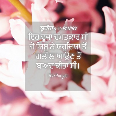 Picture 04 - ਯੂਹੰਨਾ 4:54 PANIRV - ਇਹ ਦੂਜਾ ਚਮਤਕਾਰ ਸੀ - Bible Verse Picture