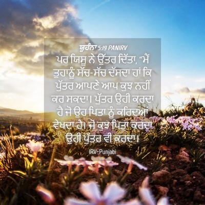Picture 04 - ਯੂਹੰਨਾ 5:19 PANIRV - ਪਰ ਯਿਸੂ ਨੇ ਉੱਤਰ - Bible Verse Picture