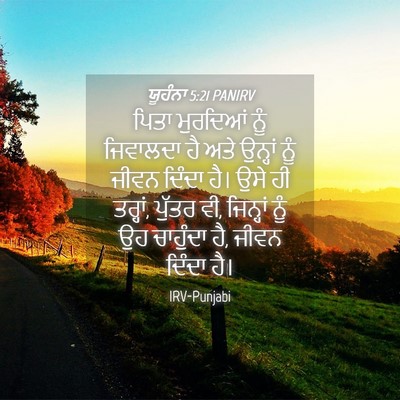Picture 04 - ਯੂਹੰਨਾ 5:21 PANIRV - ਪਿਤਾ ਮੁਰਦਿਆਂ ਨੂੰ - Bible Verse Picture