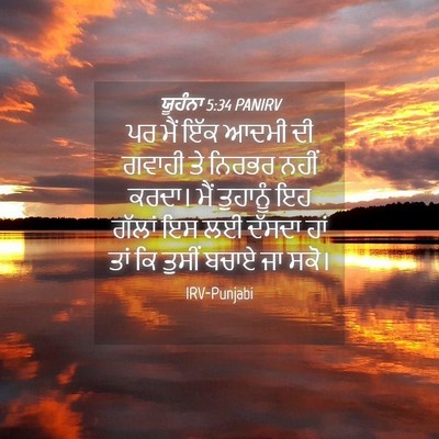 Picture 04 - ਯੂਹੰਨਾ 5:34 PANIRV - ਪਰ ਮੈਂ ਇੱਕ ਆਦਮੀ ਦੀ - Bible Verse Picture