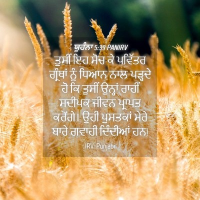 Picture 04 - ਯੂਹੰਨਾ 5:39 PANIRV - ਤੁਸੀਂ ਇਹ ਸੋਚ ਕੇ - Bible Verse Picture