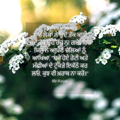 Picture 04 - ਯੂਹੰਨਾ 6:12 PANIRV - ਸਾਰੇ ਲੋਕਾਂ ਨੇ ਉਦੋਂ - Bible Verse Picture