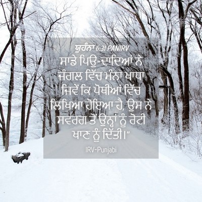 Picture 04 - ਯੂਹੰਨਾ 6:31 PANIRV - ਸਾਡੇ ਪਿਉ-ਦਾਦਿਆਂ ਨੇ - Bible Verse Picture