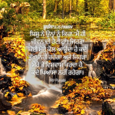 Picture 04 - ਯੂਹੰਨਾ 6:35 PANIRV - ਯਿਸੂ ਨੇ ਉਨ੍ਹਾਂ ਨੂੰ - Bible Verse Picture