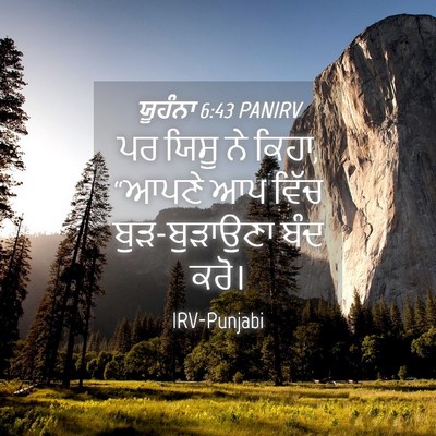 Picture 04 - ਯੂਹੰਨਾ 6:43 PANIRV - ਪਰ ਯਿਸੂ ਨੇ ਕਿਹਾ, - Bible Verse Picture