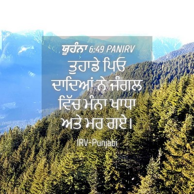 Picture 04 - ਯੂਹੰਨਾ 6:49 PANIRV - ਤੁਹਾਡੇ ਪਿਓ ਦਾਦਿਆਂ - Bible Verse Picture