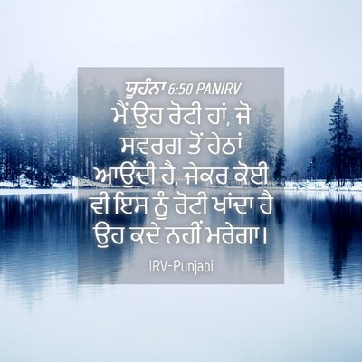 Picture 04 - ਯੂਹੰਨਾ 6:50 PANIRV - ਮੈਂ ਉਹ ਰੋਟੀ ਹਾਂ, ਜੋ - Bible Verse Picture