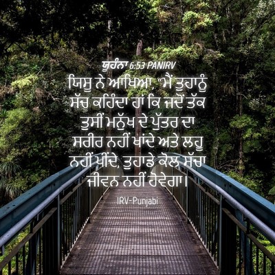 Picture 04 - ਯੂਹੰਨਾ 6:53 PANIRV - ਯਿਸੂ ਨੇ ਆਖਿਆ, “ਮੈਂ - Bible Verse Picture
