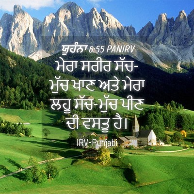 Picture 04 - ਯੂਹੰਨਾ 6:55 PANIRV - ਮੇਰਾ ਸਰੀਰ ਸੱਚ-ਮੁੱਚ - Bible Verse Picture