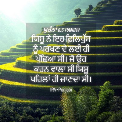 Picture 04 - ਯੂਹੰਨਾ 6:6 PANIRV - ਯਿਸੂ ਨੇ ਇਹ - Bible Verse Picture