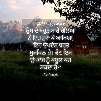 Picture 04 - ਯੂਹੰਨਾ 6:60 PANIRV - ਉਸ ਦੇ ਬਹੁਤ ਸਾਰੇ - Bible Verse Picture