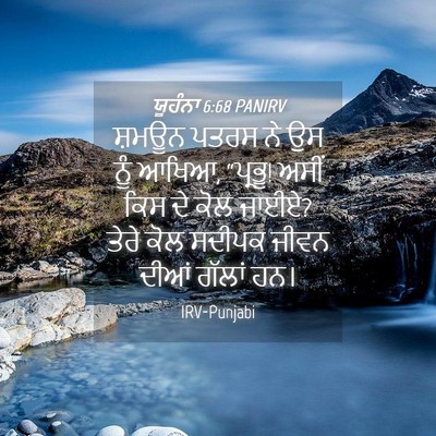 Picture 04 - ਯੂਹੰਨਾ 6:68 PANIRV - ਸ਼ਮਊਨ ਪਤਰਸ ਨੇ ਉਸ - Bible Verse Picture