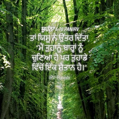 Picture 04 - ਯੂਹੰਨਾ 6:70 PANIRV - ਤਾਂ ਯਿਸੂ ਨੇ ਉੱਤਰ - Bible Verse Picture