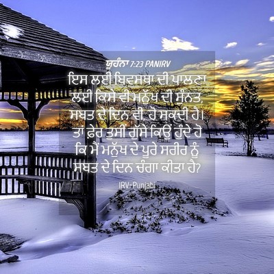 Picture 04 - ਯੂਹੰਨਾ 7:23 PANIRV - ਇਸ ਲਈ ਬਿਵਸਥਾ ਦੀ - Bible Verse Picture