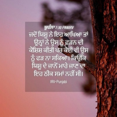 Picture 04 - ਯੂਹੰਨਾ 7:30 PANIRV - ਜਦੋਂ ਯਿਸੂ ਨੇ ਇਹ - Bible Verse Picture