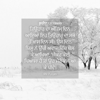 Picture 04 - ਯੂਹੰਨਾ 7:37 PANIRV - ਤਿਉਹਾਰ ਦਾ ਅੰਤਿਮ - Bible Verse Picture