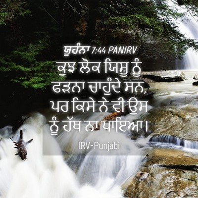 Picture 04 - ਯੂਹੰਨਾ 7:44 PANIRV - ਕੁਝ ਲੋਕ ਯਿਸੂ ਨੂੰ - Bible Verse Picture