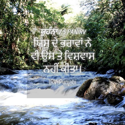 Picture 04 - ਯੂਹੰਨਾ 7:5 PANIRV - ਯਿਸੂ ਦੇ ਭਰਾਵਾਂ ਨੇ - Bible Verse Picture