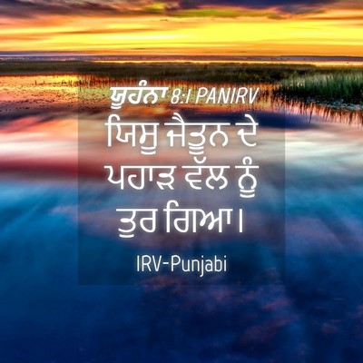 Picture 04 - ਯੂਹੰਨਾ 8:1 PANIRV - ਯਿਸੂ ਜੈਤੂਨ ਦੇ ਪਹਾੜ - Bible Verse Picture