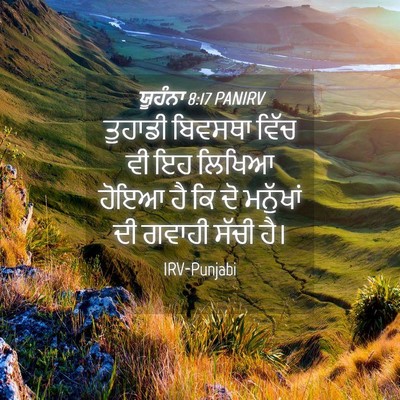 Picture 04 - ਯੂਹੰਨਾ 8:17 PANIRV - ਤੁਹਾਡੀ ਬਿਵਸਥਾ - Bible Verse Picture
