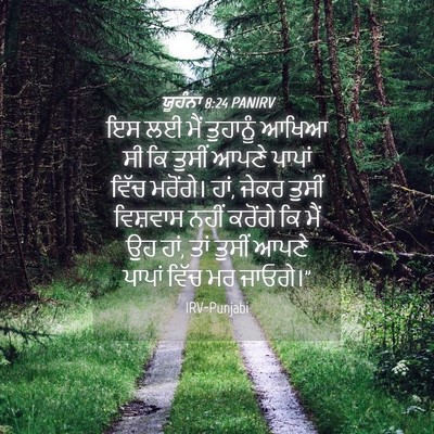 Picture 04 - ਯੂਹੰਨਾ 8:24 PANIRV - ਇਸ ਲਈ ਮੈਂ ਤੁਹਾਨੂੰ - Bible Verse Picture