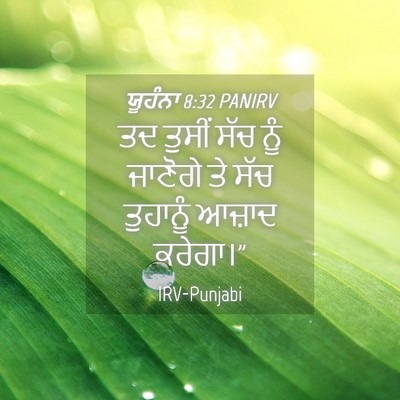 Picture 04 - ਯੂਹੰਨਾ 8:32 PANIRV - ਤਦ ਤੁਸੀਂ ਸੱਚ ਨੂੰ - Bible Verse Picture