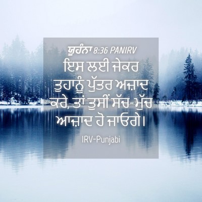 Picture 04 - ਯੂਹੰਨਾ 8:36 PANIRV - ਇਸ ਲਈ ਜੇਕਰ ਤੁਹਾਨੂੰ - Bible Verse Picture