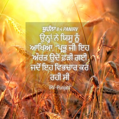 Picture 04 - ਯੂਹੰਨਾ 8:4 PANIRV - ਉਨ੍ਹਾਂ ਨੇ ਯਿਸੂ ਨੂੰ - Bible Verse Picture