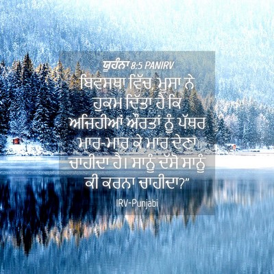 Picture 04 - ਯੂਹੰਨਾ 8:5 PANIRV - ਬਿਵਸਥਾ ਵਿੱਚ, ਮੂਸਾ - Bible Verse Picture