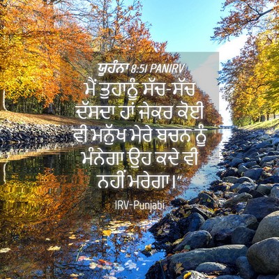 Picture 04 - ਯੂਹੰਨਾ 8:51 PANIRV - ਮੈਂ ਤੁਹਾਨੂੰ - Bible Verse Picture