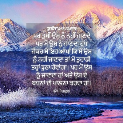 Picture 04 - ਯੂਹੰਨਾ 8:55 PANIRV - ਪਰ ਤੁਸੀਂ ਉਸ ਨੂੰ - Bible Verse Picture