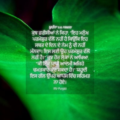 Picture 04 - ਯੂਹੰਨਾ 9:16 PANIRV - ਕੁਝ ਫ਼ਰੀਸੀਆਂ ਨੇ - Bible Verse Picture