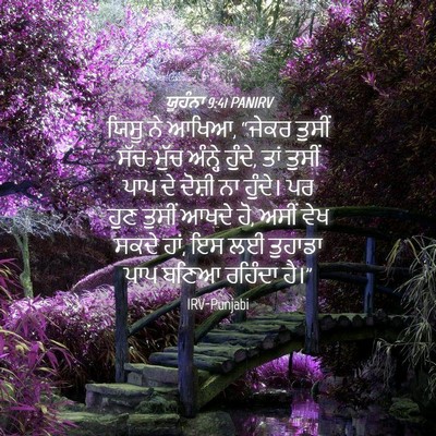 Picture 04 - ਯੂਹੰਨਾ 9:41 PANIRV - ਯਿਸੂ ਨੇ ਆਖਿਆ, “ਜੇਕਰ - Bible Verse Picture