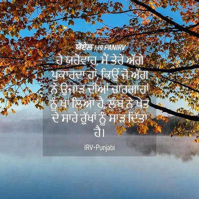 Picture 04 - ਯੋਏਲ 1:19 PANIRV - ਹੇ ਯਹੋਵਾਹ, ਮੈਂ ਤੇਰੇ - Bible Verse Picture