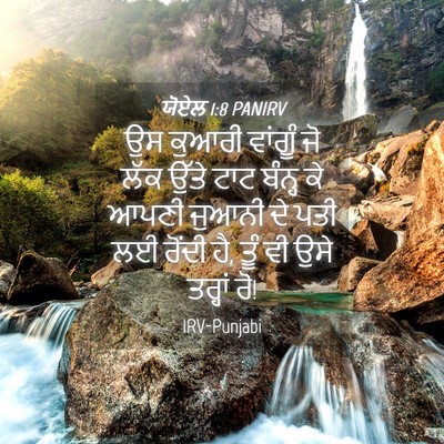 Picture 04 - ਯੋਏਲ 1:8 PANIRV - ਉਸ ਕੁਆਰੀ ਵਾਂਗੂੰ ਜੋ - Bible Verse Picture