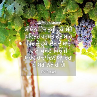 Picture 04 - ਯੋਏਲ 2:1 PANIRV - ਸੀਯੋਨ ਵਿੱਚ ਤੁਰ੍ਹੀ - Bible Verse Picture