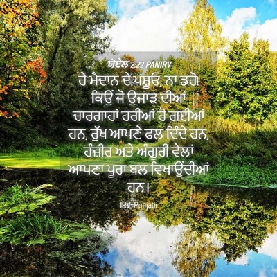 Picture 04 - ਯੋਏਲ 2:22 PANIRV - ਹੇ ਮੈਦਾਨ ਦੇ ਪਸ਼ੂਓ, - Bible Verse Picture
