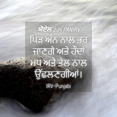Picture 04 - ਯੋਏਲ 2:24 PANIRV - ਪਿੜ ਅੰਨ ਨਾਲ ਭਰ - Bible Verse Picture