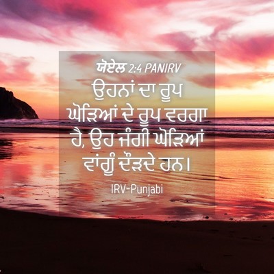 Picture 04 - ਯੋਏਲ 2:4 PANIRV - ਉਹਨਾਂ ਦਾ ਰੂਪ - Bible Verse Picture