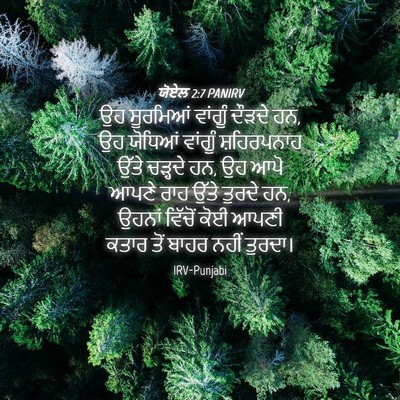 Picture 04 - ਯੋਏਲ 2:7 PANIRV - ਉਹ ਸੂਰਮਿਆਂ ਵਾਂਗੂੰ - Bible Verse Picture