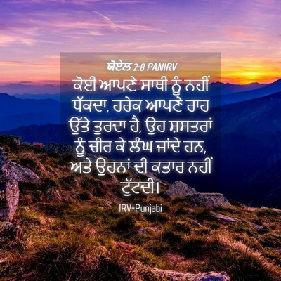 Picture 04 - ਯੋਏਲ 2:8 PANIRV - ਕੋਈ ਆਪਣੇ ਸਾਥੀ ਨੂੰ - Bible Verse Picture