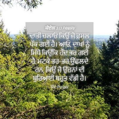 Picture 04 - ਯੋਏਲ 3:13 PANIRV - ਦਾਤੀ ਚਲਾਓ ਕਿਉਂ ਜੋ - Bible Verse Picture
