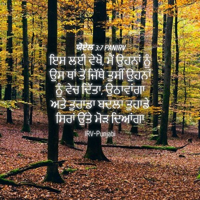 Picture 04 - ਯੋਏਲ 3:7 PANIRV - ਇਸ ਲਈ ਵੇਖੋ, ਮੈਂ - Bible Verse Picture