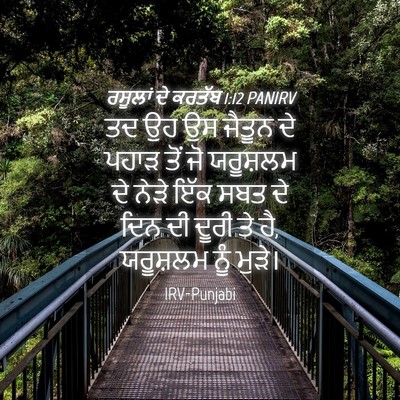 Picture 04 - ਰਸੂਲਾਂ ਦੇ ਕਰਤੱਬ 1:12 PANIRV - ਤਦ ਉਹ ਉਸ ਜੈਤੂਨ ਦੇ - Bible Verse Picture