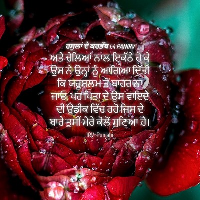 Picture 04 - ਰਸੂਲਾਂ ਦੇ ਕਰਤੱਬ 1:4 PANIRV - ਅਤੇ ਚੇਲਿਆਂ ਨਾਲ - Bible Verse Picture