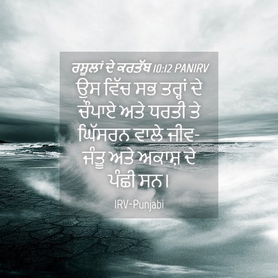 Picture 04 - ਰਸੂਲਾਂ ਦੇ ਕਰਤੱਬ 10:12 PANIRV - ਉਸ ਵਿੱਚ ਸਭ ਤਰ੍ਹਾਂ - Bible Verse Picture