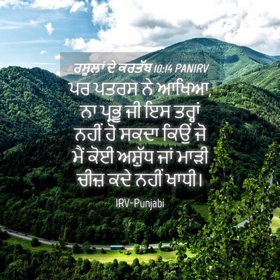 Picture 04 - ਰਸੂਲਾਂ ਦੇ ਕਰਤੱਬ 10:14 PANIRV - ਪਰ ਪਤਰਸ ਨੇ ਆਖਿਆ, ਨਾ - Bible Verse Picture